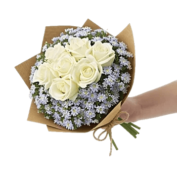 Serene Petal Harmony