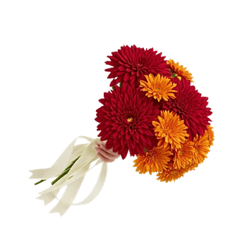 Ruby Petal Cascade