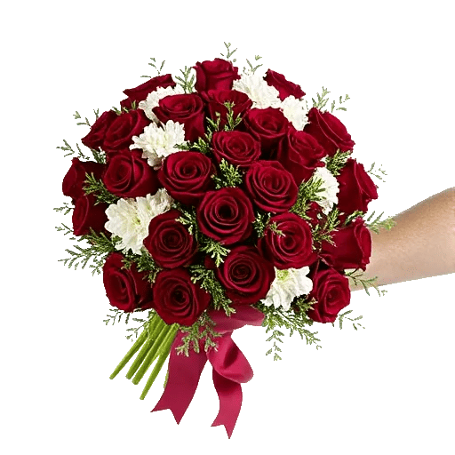 Crimson Rose Elegance