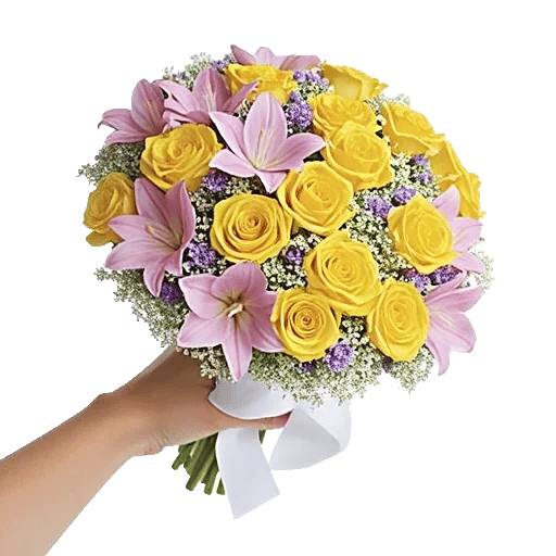 Blushing Rose Symphony