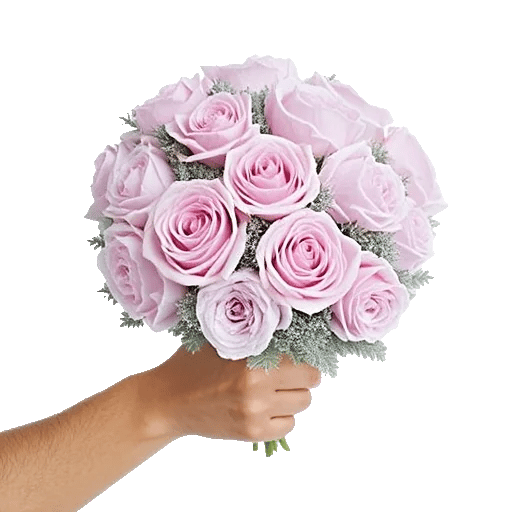 Pastel Pink Roses