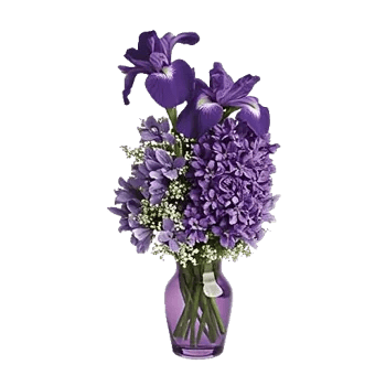 Ivory Blossom Radiance