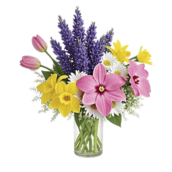 Ivory Blossom Radiance