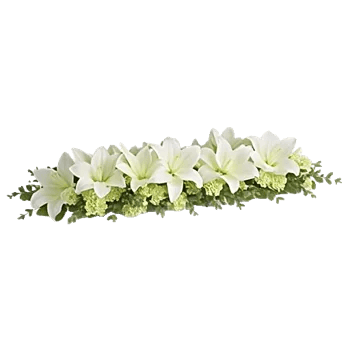 Graceful Lily Display