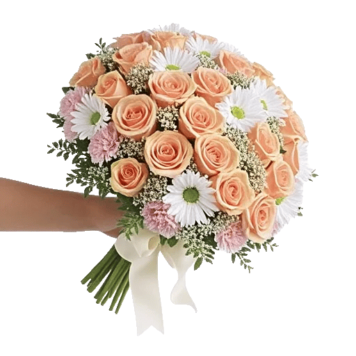 Blushing Rose Symphony