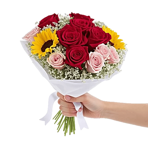 Blushing Rose Symphony