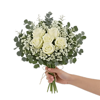 Minimalist White Orchids
