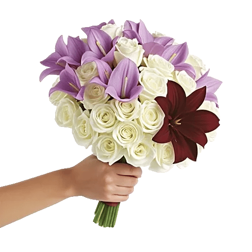 Elegant Calla Lilies