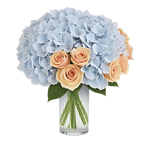 Ivory Blossom Radiance