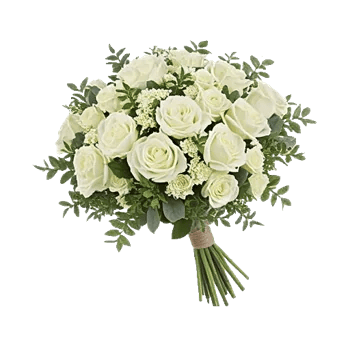 Minimalist White Orchids