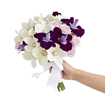 Serenity Orchid Bloom