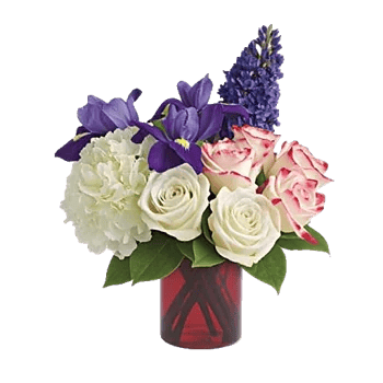 Ivory Blossom Radiance