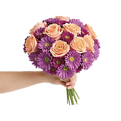 Petal Grace Harmony