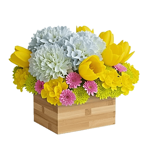 Blooming Serenity Display