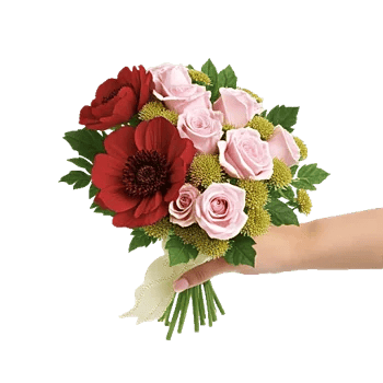 Crimson Rose Elegance
