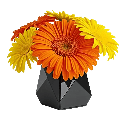 Petal Radiance Bliss