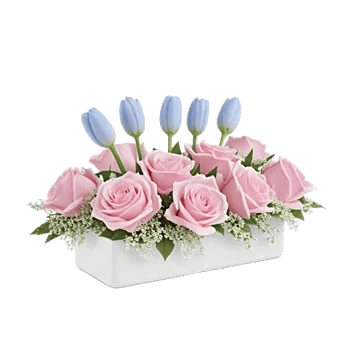 Blossom Petal Serenity