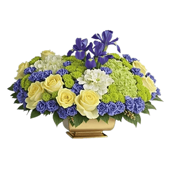 Ivory Blossom Radiance