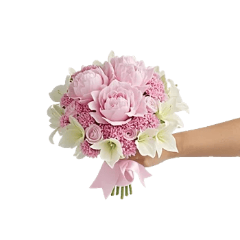 Peony Petal Harmony