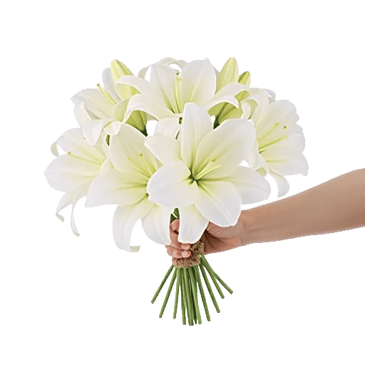 Graceful Lily Display