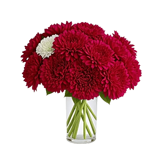 Crimson Blossom Harmony