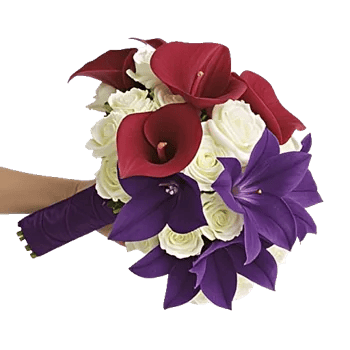 Elegant Calla Lilies