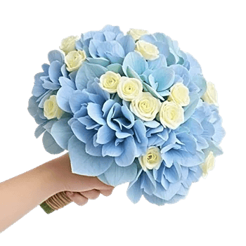 Serene Petal Harmony