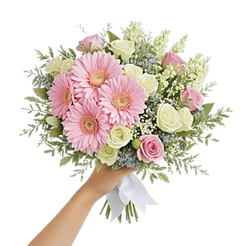 Blossom Petal Serenity