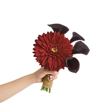 Elegant Calla Lilies