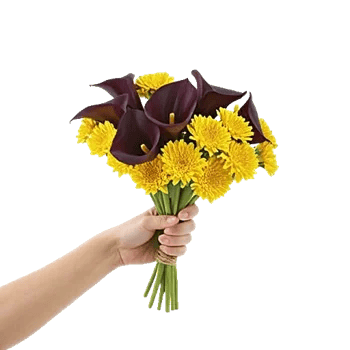 Elegant Calla Lilies