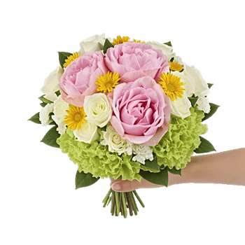Peony Petal Harmony