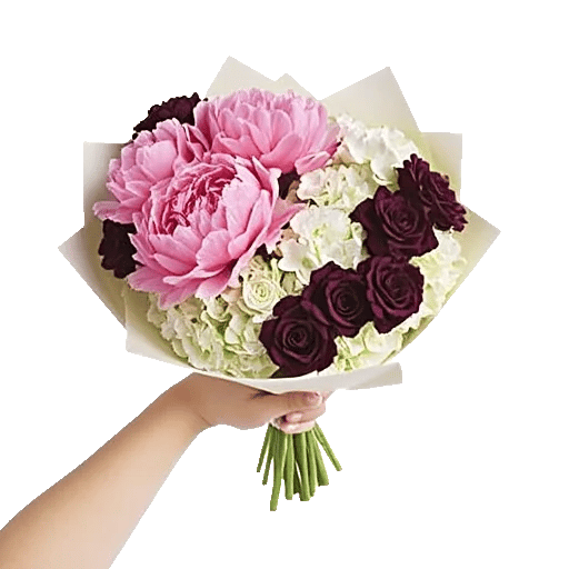 Peony Petal Harmony