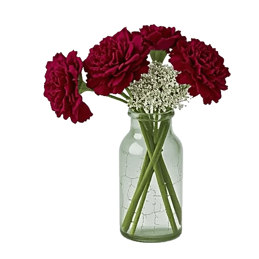 Delicate Petal Cascade