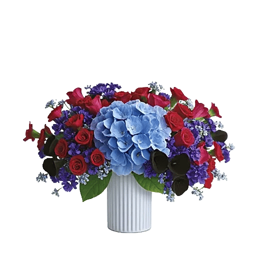 Sapphire Bloom Whisper