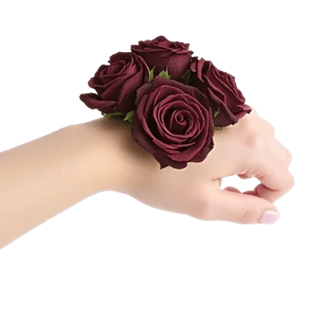 Crimson Rose Elegance