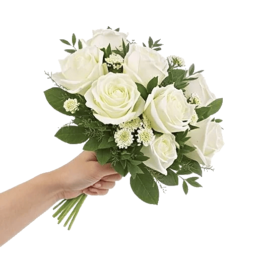 Ivory Garden Grace