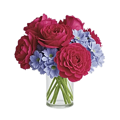 Petal Radiance Bliss