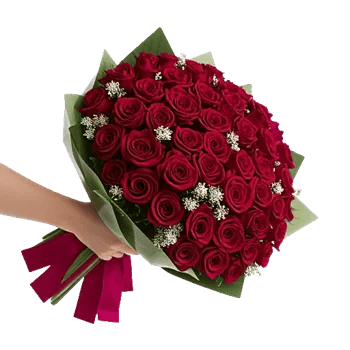 Crimson Rose Elegance