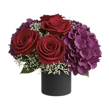 Crimson Blossom Harmony