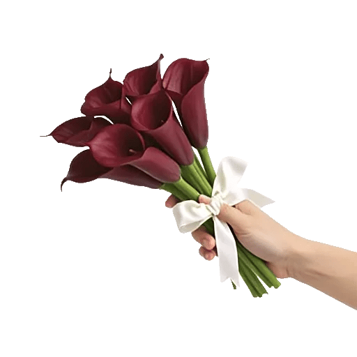 Elegant Calla Lilies