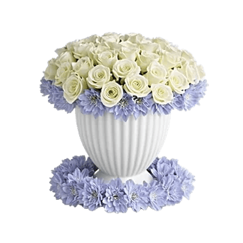 Ivory Blossom Radiance