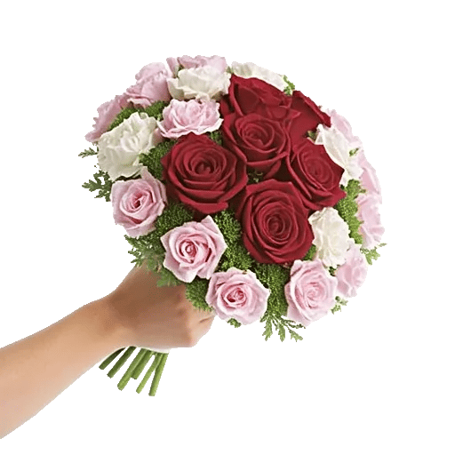 Crimson Rose Elegance