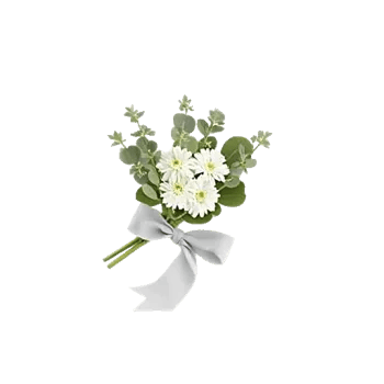 Minimalist White Orchids