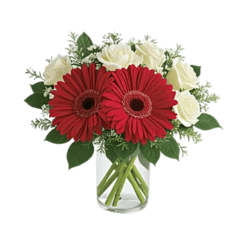 Petal Radiance Bliss