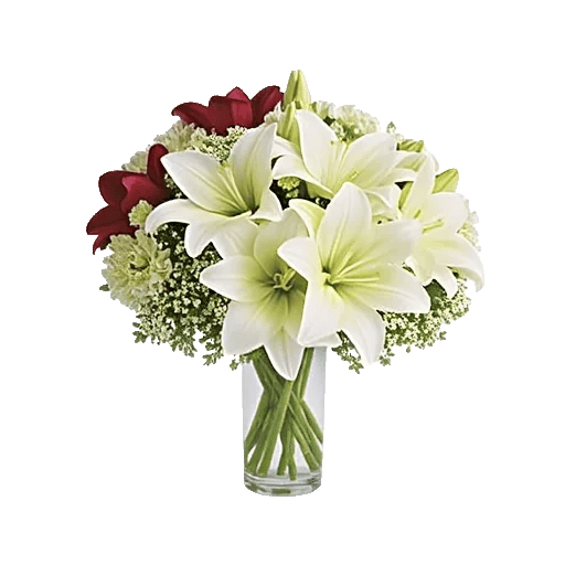 Serene Lily Cascade