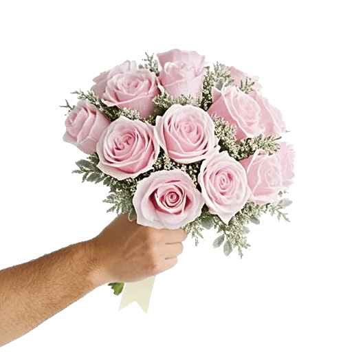Pastel Pink Roses