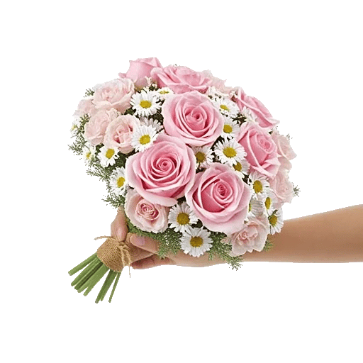 Blushing Rose Symphony