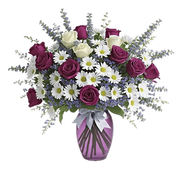 Lavender Bloom Grace