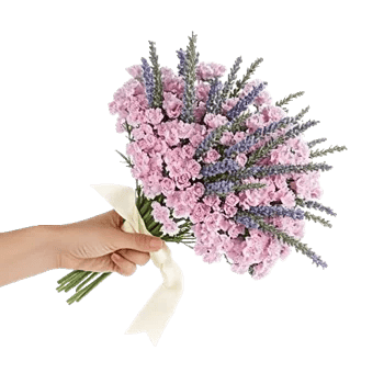 Blossom Radiant Whisper