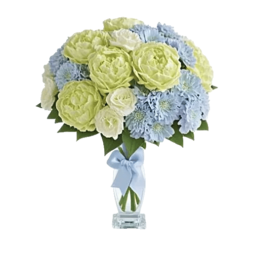 Serene Petal Harmony